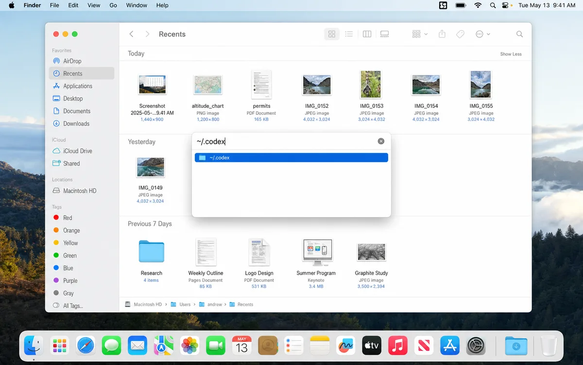 Finder's Go to Folder panel with ~/.codex typed in